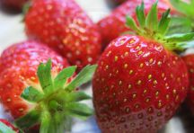 Trifle Erdbeer (4)