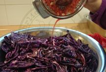 Apfelrotkohl (10)