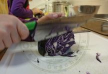Apfelrotkohl (5)