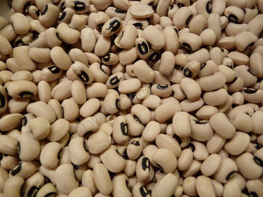 black-eye-beans-curry-1