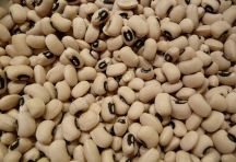 black-eye-beans-curry-1