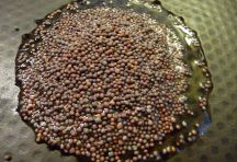 black-eye-beans-curry-20