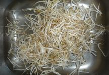Glasnudelsalat (2)