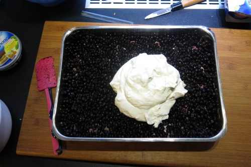 Heidelbeertrifle (40)