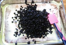 Heidelbeertrifle (37)