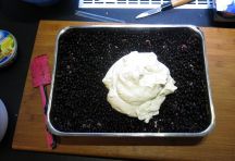 Heidelbeertrifle (40)