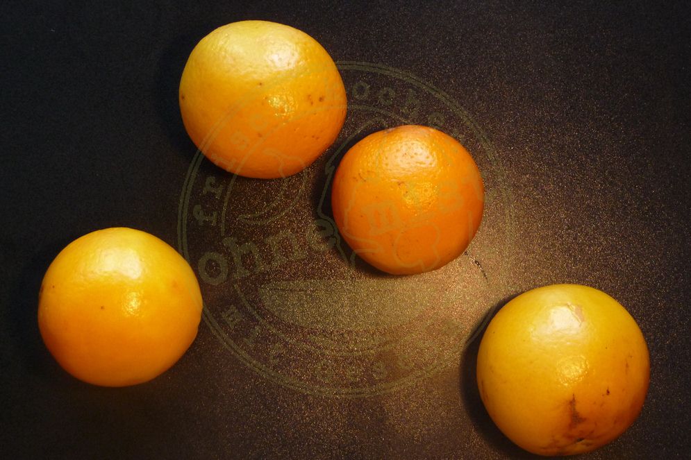 joghurt-orangen-kuchen-3
