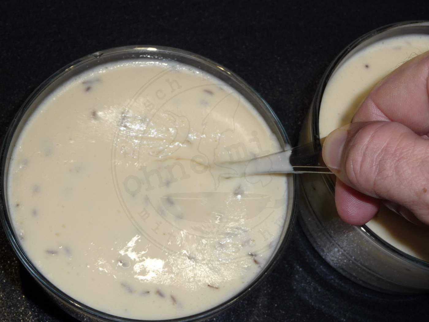 Odenwälder Kochkäse – Eine regionale Spezialität | Ohne Mist