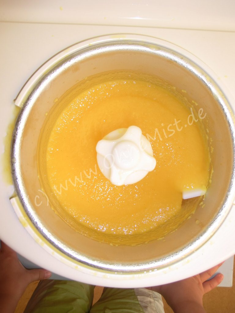 Mango – Orange – Vanille – Sorbet – eiskalter Genuss aus frischen ...