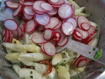 Spargel Radieschen Salat (37)