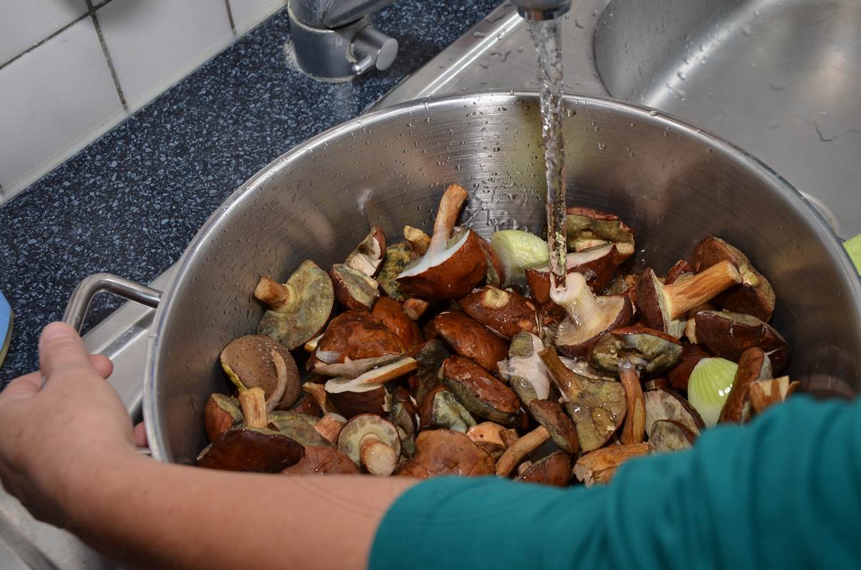 Essen aus dem Wald – Pilze nach polnischer Art sauer einlegen und ...