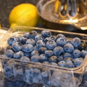 Blaubeersorbet – Eine Sommerköstlichkeit zu 100% aus frischen Früchten